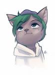 ambiguous_gender anthro chest_tuft clothed clothing freckles green_eyes green_hair hair hat headgear headwear hoodie inner_ear_fluff looking_up simple_background solo topwear tuft white_background alec8ter conditional_dnp theo_(rozerem) domestic_cat felid feline felis mammal 2017 bust_portrait hi_res portrait signature