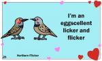 ambiguous_gender beak black_eyes duo feral heart_symbol holidays humor pun side_view text tongue tongue_out birdcheese valentine's_day avian bird northern_flicker picid woodpecker 5:3 animated digital_media_(artwork) english_text low_res short_playtime