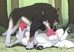 69_position animal_genitalia animal_penis balls black_nose blush blush_lines bodily_fluids brown_body brown_fur canine_genitalia canine_penis claws duo erection fellatio feral feral_on_feral feral_penetrated feral_penetrating feral_penetrating_feral forest forest_background fur genitals intraspecies knot knotted_penis lying male male/male male_feral male_penetrated male_penetrating male_penetrating_male mutual_oral nature nature_background on_back oral oral_penetration pawpads penetration penile penile_penetration penis penis_in_mouth plant red_eyes red_penis saliva saliva_on_penis servicing_from_below sex sheath sucking tail tongue tree white_body white_fur wolfonia canid canine canis mammal wolf 2025 signature