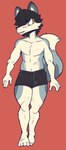 clothing feet hair hair_over_eye hair_over_eyes male one_eye_obstructed simple_background smile solo underwear fellowthewulf farron canid canine fox mammal hi_res