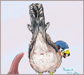 ambiguous_gender animal_genitalia avian_butt avian_feet beak bent_over black_beak black_body black_feathers blue_body blue_feathers blue_fur blush bodily_fluids cloaca cloaca_juice cloacal cum cum_in_cloaca cum_inside cum_on_penis cum_string duo ejaculation eyes_closed feathered_wings feathers female female/ambiguous female_feral female_focus feral fluffy fluffy_hair fluffy_tail fur genital_fluids genitals grey_body grey_feathers hair looking_back looking_pleasured male male/female multicolored_body multicolored_fur neck_tuft open_beak open_mouth orange_body orange_feathers orange_fur orgasm penis pink_penis raised_tail realistic_penis_size realistic_wings rear_view saliva semi-realistic semi-realistic_feral sex solo_focus tail tail_feathers tapering_penis tongue tuft white_body white_feathers white_fur wings yellow_beak peanut_for_jay leela_(eagle683) avian bird falcon falconid kestrel absurd_res hi_res