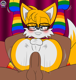 anal anal_penetration anthro ball butt dark_body dark_skin duo femboy genitals glass half-closed_eyes human_on_anthro interspecies leg_markings legs_up lgbt_pride male male/male male_penetrated male_penetrating male_penetrating_male markings narrowed_eyes penetration penis sex yellow_body sirjzau lgbt_pride_month sega sonic_the_hedgehog_(series) miles_prower canid canine fox human mammal absurd_res hi_res