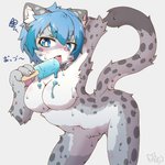 anthro blue_eyes blue_hair blush breasts dripping featureless_breasts female female_anthro food fur grey_body grey_fur grey_spots hair holding_food holding_object holding_popsicle kemono licking_popsicle markings navel nude popsicle sea_salt_ice_cream simple_background solo spots spotted_body spotted_fur tuft white_background acky05 suzune_(acky05) felid mammal pantherine snow_leopard 1:1 hi_res signature