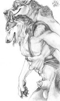 5_fingers animal_genitalia anthro balls chin_on_head claws duo eyes_closed finger_claws fingers from_behind_position fur genitals harness inner_ear_fluff male male/male obscured_penetration open_mouth pawpads penis penis_tip pointy_ears prick_ears sex sheath simple_background smile teeth tongue tongue_out tuft whisker_spots whiskers white_background blotch scratches_volume_2 canid canine canis domestic_dog husky mammal nordic_sled_dog spitz 2008 hi_res monochrome traditional_media_(artwork)