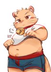 anthro bulge clothing male navel overweight solo underwear young young_anthro tongmung24 domestic_cat felid feline felis mammal 2022 absurd_res hi_res