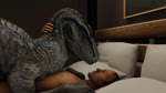 16:9 2021 3d_(artwork) 3d_animation after_sex animal_genitalia animated ball_slap balls balls_deep bed bedroom bestiality blue_(jurassic_world) bouncing_balls claws cloaca cloacal cloacal_penetration cuddling digital_media_(artwork) dinosaur dominant dominant_female dominant_feral dromaeosaurid duo erection female female_on_human female_on_top female_penetrated feral feral_dominating_human feral_on_top feral_penetrated from_front_position furniture genitals growling hi_res huge_filesize human human_on_bottom human_on_feral human_penetrating human_penetrating_feral humanoid_genitalia humanoid_penis implied_orgasm interspecies ivorylagiacrus jurassic_park jurassic_world kissing larger_female larger_feral larger_penetrated long_playtime lying male male/female male_on_bottom male_on_feral male_penetrating male_penetrating_female male_penetrating_feral mammal moan nude on_back on_bottom on_top open_mouth penetration penile penile_penetration penis reptile reverse_missionary_position romantic romantic_couple scalie sex sharp_teeth size_difference slap smaller_human smaller_male smile sound source_filmmaker submissive submissive_human submissive_male teeth theropod third-party_edit universal_studios velociraptor webm widescreen