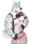 abs beard biceps bow_tie bulge clothing eyebrows facial_hair fur gloves handwear male muscular muscular_male nipples pecs solo tail underwear seatohao canid canine mammal digital_drawing_(artwork) digital_media_(artwork) hi_res