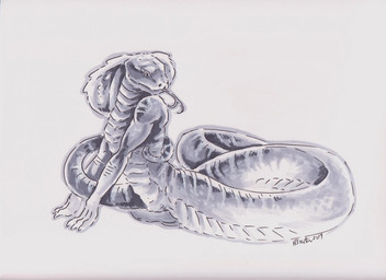 anthro apode coiling erection forked_tongue genitals legless male nude nude_anthro nude_male penis scales serpentine simple_background snake_hood solo tail tongue tongue_out heather_bruton ophius_(bahumot) cobra draconcopode naga reptile scalie snake sketch traditional_media_(artwork)