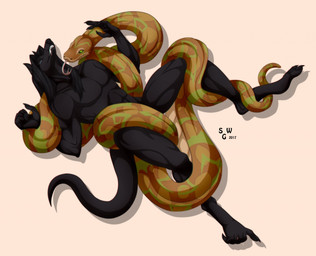anthro bdsm bondage bound coiling duo feral serpentine simple_background tongue silvergrin gerys kalisster_ssin canid canine canis jackal mammal python reptile scalie snake vampire 2017