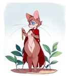 anthro blue_eyes brown_body brown_fur brown_hair cape clothing dirt featureless_crotch female fur hair holding_object jewelry mouth_closed red_nose solo standing tail whiskers punipaws don_bluth the_secret_of_nimh mrs._brisby mammal mouse murid murine rodent wood_mouse 2024 english_description hi_res