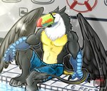 anthro beak clothing feather_ear feathers male muscular paws smile solo summer sun_glare swimming_pool swimwear tail talon_hands wings yamatopawa mythology avian bird gryphon mythological_avian mythological_creature toucan