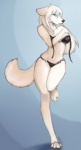 anthro bikini blue_eyes clothed clothing female fur long_legs looking_at_viewer skimpy solo swimwear tail two-piece_swimsuit undressing white_body white_fur shestaroo canid canine canis mammal wolf