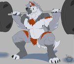 anthro barbell barbell_squats biceps black_nipples blue_eyes claws crouching exercise featureless_crotch feet finger_claws fingerless_(marking) fingerless_gloves_(marking) fur gloves_(marking) grey_body grey_fur leg_markings logo male markings muscular muscular_anthro muscular_male nipples nude orange_body orange_fur orange_stripes pecs pubes serratus socks_(marking) solo stripes teeth toe_claws toeless_(marking) toeless_socks_(marking) weightlifting weights workout kyojufolf strom_(skyshiemi) canid canine canis mammal wolf 2023 absurd_res artist_logo hi_res