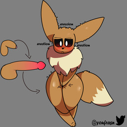 anthro big_penis black_nose black_sclera blush brown_body brown_ears brown_fur brown_tail chest_tuft covering covering_crotch dipstick_tail erection foreskin fur genitals grey_background male markings multicolored_tail narrowed_eyes partially_retracted_foreskin penis pokemorph simple_background solo tail tail_markings tan_tail text tuft twitter_logo white_eyes youfrasn nintendo pokemon twitter eeveelion_(youfrasn) eevee generation_1_pokemon pokemon_(species) absurd_res artist_name english_text hi_res source_request spanish_text