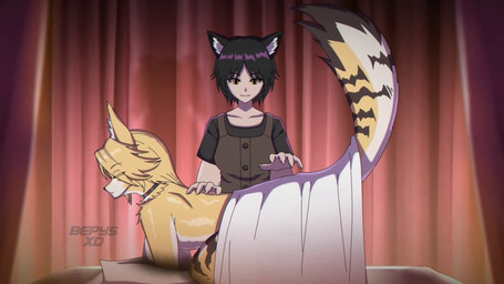 all_fours animal_ears anthro black_hair blonde_hair body_fur cat_tail drumming female female_anthro female_humanoid fluffy fluffy_tail hair humanoid_on_anthro humor inner_ear_fluff looking_at_another looking_at_partner looking_back looking_back_at_another looking_back_at_partner massage meow nude purring raised_tail tail tuft bepysxd sound_warning mihoyo zenless_zone_zero massage_therapist_(zenless_zone_zero) pulchra_fellini animal_humanoid cat_humanoid felid felid_humanoid feline feline_humanoid humanoid mammal mammal_humanoid thiren 16:9 animated hi_res loop short_playtime sound video widescreen