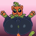 angry anthro anus balls butt feral food fruit genitals looking_at_viewer male pawpads paws plant pumpkin solo tongue tongue_out semicolon pumkat 1:1 animated digital_media_(artwork) hi_res short_playtime