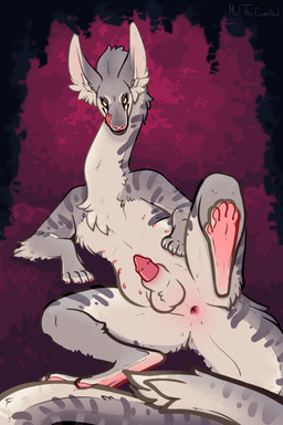 animal_genitalia anus balls countershade_arms countershade_balls countershade_crotch countershade_face countershade_genitalia countershade_hands countershade_neck countershade_tail countershade_torso countershading detailed_background feral fur genitals grey_body grey_fur half-erect licking licking_lips looking_at_viewer lying male male_feral multi_nipple nipples on_side penis pink_penis presenting sheath slightly_chubby slightly_chubby_feral slightly_chubby_male solo spread_legs spreading tail tongue tongue_out white_body white_fur yellow_eyes meldritchhorror mammal 2019 2:3 absurd_res hi_res
