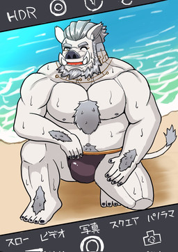 anthro arm_hair body_hair bulge camera camera_view chest_hair chest_tuft clothed clothing genital_outline happy_trail leg_hair male male_anthro mostly_nude muscular muscular_anthro muscular_male partially_clothed phone_camera solo tuft underwear underwear_only garu0513 lifewonders tokyo_afterschool_summoners y'golonac_(tas) mammal suid suine sus_(pig) wild_boar hi_res
