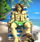 4_toes abs alcohol anthro athletic beach beer beverage biceps biped bottle bottomwear bulge chair clothed clothing container detailed_background eyewear feet front_view fur furniture green_clothing green_swimming_trunks green_swimwear hair hindpaw holding_bottle holding_container holding_object male mane muscular muscular_anthro outside paws pecs plantigrade sand seaside shorts sitting sky soles solo summer sunglasses swimming_trunks swimwear tail tan_body tan_fur toes topless water vallhound jora felid lion mammal pantherine 2014 digital_media_(artwork)