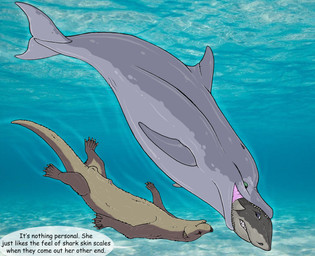 ambiguous_feral ambiguous_gender ambiguous_prey animal_genitalia balls blowhole blue_eyes brown_body brown_eyes brown_fur countershading dialogue dolphin_tail feet feet_first female female_feral female_pred feral feral_pred feral_prey flukes fully_sheathed fur genitals green_eyes grey_body group male male_feral membrane_(anatomy) oral_vore sea sheath speech_bubble tail tail_first talking_feral text toes trio underwater vore vulva water webbed_feet whiskers strega aquatic cetacean dolphin fish mammal mustelid otter shark toothed_whale 2026 absurd_res digital_media_(artwork) english_text hi_res