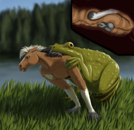 animal_genitalia anthro balls bodily_fluids broken_bone crying duo feral forced fully_sheathed genitals grass male outside pain plant sheath tears vore lemurlemurovich amphibian equid equine frog horse mammal digital_media_(artwork)