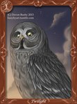 ambiguous_gender cloud feathers feral grey_body grey_feathers looking_down picture_frame sky solo star yellow_eyes bubsyart guardians_of_ga'hoole twilight_(gogh) avian bird great_grey_owl owl strix_(genus) true_owl 2013 hi_res