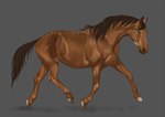 ambiguous_gender blue_eyes brown_body brown_hair brown_mane brown_tail feathering feral fur hair hooves looking_at_viewer mane solo tail trotting superlavplov dolero equid equine horse mammal 2022 digital_media_(artwork)