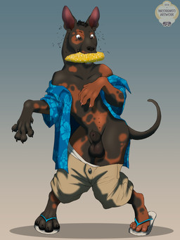 aloha_shirt animal_genitalia balls black_body black_sheath black_skin black_tail bottomwear bottomwear_down brown_body brown_eyes brown_skin claws clothed clothing corn curse feral flaccid flip_flops food footwear genitals gradient_background hairless hands_to_paws human_to_feral loss_of_dexterity magic male mottled mottled_body mottled_skin multi_nipple multicolored_body multicolored_skin nails nipples open_clothing open_shirt open_topwear partially_clothed pattern_clothing pattern_shirt pattern_topwear paws penis penis_tip plant sandals sheath shirt shocked shoes shorts shorts_down simple_background solo species_transformation tail thin_tail topwear transformation two_tone_body two_tone_skin underwear underwear_down gardeaalgedo incorgnito canid canine canis domestic_dog hairless_dog human mammal primitive_dog xoloitzcuintli 3:4 hi_res story story_in_description