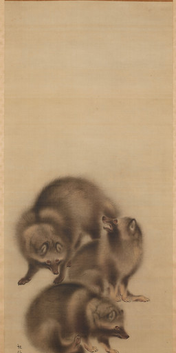 ambiguous_feral ambiguous_gender brown_body brown_fur claws dewclaw digitigrade fangs feral finger_claws fur group high-angle_view looking_at_viewer looking_up open_mouth pawpads paws quadruped scratching simple_background sitting standing tail teeth text toe_claws trio mori_sosen public_domain canid canine mammal raccoon_dog tanuki 18th_century absurd_res ancient_art hi_res japanese_text painting_(artwork) traditional_media_(artwork) traditional_painting_(artwork)