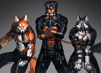 abs anthro bdsm belt bottomwear chaps clothing collar group harness leather leather_bottomwear leather_clothing leather_pants male muscular muscular_anthro muscular_male muzzle_(object) muzzled pants rope simple_background spiked_collar spikes standing tail trio ravennest canid canine canis domestic_dog mammal mastiff molosser rottweiler wolf 2014