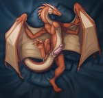 anus bed feral furniture genitals male nude orange_body orange_scales paws penis pink_penis scales smile solo tail wings chivaran european_mythology mythology jarren dragon mythological_creature mythological_scalie scalie western_dragon hi_res