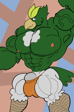 abs anthro big_bulge big_muscles big_pecs bulge huge_muscles hyper hyper_muscles male muscular muscular_arms muscular_male pecs solo thick_thighs kogo avian bird 2:3 absurd_res hi_res