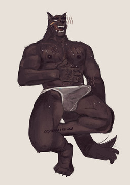 anthro balls band-aid band-aid_on_face bandage bandage_on_face black_body black_fur black_nipples black_nose bodily_fluids clothed clothing erection fluffy fluffy_tail fur genitals humanoid_genitalia humanoid_penis kemono looking_at_viewer male muscular muscular_anthro muscular_male musk nipples pecs penis pointy_ears simple_background solo sweat tail tongue tongue_out topless topless_male translucent translucent_clothing translucent_underwear underwear white_background ooshiodaiki canid canine canis domestic_dog mammal 2023 absurd_res hi_res