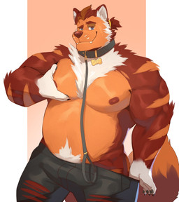 anthro belly black_bottomwear black_clothing black_collar black_pants blue_eyes bottomwear bottomwear_pull brown_body brown_fur chest_tuft claws clothed clothing clothing_pull collar eyebrows finger_claws fur gloves_(marking) hair leash leashed_collar male markings muscular muscular_anthro muscular_male muscular_thighs navel nipples pants pants_pull pec_squeeze pecs ponytail pubes pulling_down_pants raised_eyebrow short_ponytail shorts shorts_pull solo striped_body striped_fur stripes tail topless tuft white_body white_fur zoom_in zoom_in_transition zoom_out cilok vraalucs canid canine canis mammal wolf 2024 hi_res