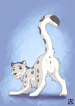 animal_genitalia animal_vulva anus blue_eyes feline_genitalia feline_vulva female feral genitals looking_at_viewer presenting presenting_vulva raised_tail solo standing tail vulva akeema felid mammal pantherine snow_leopard