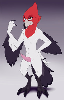 2_toes anthro beak biped bird_legs black_beak black_body black_claws black_tail black_wings claws digitigrade erection feet finger_claws front_view genitals gradient_background grey_beak grey_tail male male_anthro multicolored_beak multicolored_body multicolored_tail navel nude nude_anthro nude_male penis pink_penis red_body red_eyes simple_background smile solo standing tail tapering_penis toe_claws toes two_tone_beak white_body white_tail winged_arms wings meraence avian 2023 digital_media_(artwork) hi_res