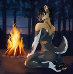 anthro bedroom_eyes black_body black_pawpads blush butt detailed_background fire fur kneeling looking_back male multicolored_body multicolored_fur narrowed_eyes nature nature_background nude orange_eyes pawpads paws presenting presenting_hindquarters raised_tail seductive solo tail juneaupaws jackson_(tndoggo) african_wild_dog canid canine mammal 2022 digital_media_(artwork) hi_res