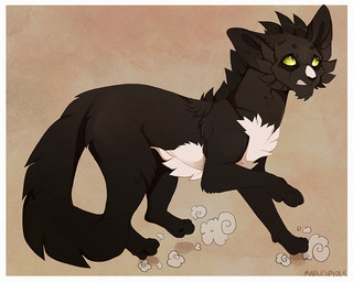ambiguous_gender black_body black_fur feral fur green_eyes no_sclera paws simple_background solo standing tail white_body white_fur maplespyder warriors_(book_series) fan_character domestic_cat felid feline felis mammal tuxedo_cat 2015 5:4 cel_shading digital_media_(artwork) shaded