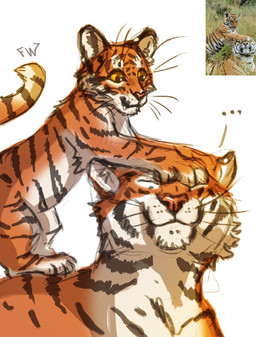black_stripes comparison duo female feral fur orange_body orange_fur photo smile striped_body striped_fur stripes whiskers flashw felid mammal pantherine tiger