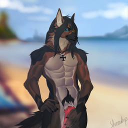 5_fingers abs animal_genitalia animal_penis anthro beach black_hair black_nose brown_body brown_fur canine_genitalia canine_penis claws cross erection fingers fur genitals hair heterochromia iron_cross jewelry knot long_hair male multicolored_body multicolored_fur necklace nude outside penis pubes seaside smile solo standing evlampyshka afevis_(character) canid canine canis domestic_dog german_shepherd herding_dog mammal pastoral_dog 1:1 2018 hi_res signature