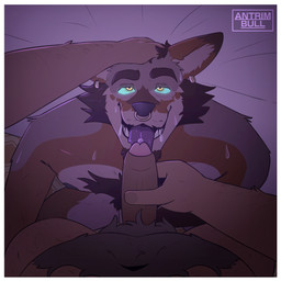 anthro beard bed bedroom_eyes belly_hair bodily_fluids body_hair border brown_hair chest_hair duo ear_piercing ear_ring erection facial_hair facial_piercing first_person_view foreskin furniture genitals glans glowing glowing_eyes hair hairy humanoid_genitalia humanoid_penis imminent_oral imminent_sex looking_at_viewer male male/male narrowed_eyes nose_piercing nose_ring penis piercing purple_tongue ring_piercing seductive septum_piercing septum_ring sweat sweatdrop tongue tongue_out vein veiny_penis white_border yellow_eyes antrimbull bear canid canine canis coyote mammal ursine hi_res