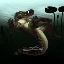 anthro feet lily_pad male plant scales solo swimming tail underwater water lakhanto alligator alligatorid crocodile crocodilian reptile scalie 1:1 2026 absurd_res english_description hi_res