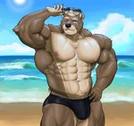 5_fingers abs anthro areola armpit_hair beach biceps black_clothing black_nose black_speedo black_swimwear body_hair bottomwear brown_body brown_claws brown_fur bulge chest_hair chest_tuft claws clothed clothing cloud detailed_background eyebrows eyewear fingers fur glasses green_eyes hair hand_on_hip happy_trail male muscular muscular_anthro muscular_male navel nipples one_eye_closed outside pecs pink_areola pink_nipples pubes sand seaside sky smile solo speedo standing sun sunglasses swimwear swimwear_only teeth topless topless_anthro topless_male tuft water white_body white_eyebrows white_fur white_hair wink matchykiwaii bear mammal absurd_res digital_media_(artwork) hi_res