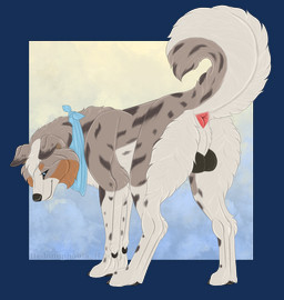 anus balls blue_eyes digitigrade feral fluffy genitals kerchief looking_at_viewer male pose presenting presenting_anus quadruped rear_view solo text hedonophobia_h rikuroo australian_shepherd canid canine canis domestic_dog herding_dog mammal pastoral_dog sheepdog artist_name english_text full-length_portrait hi_res portrait