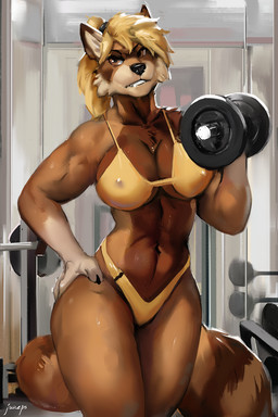 anthro athletic athletic_anthro athletic_female barbell bikini bikini_bottom bikini_top black_nose blonde_hair breasts brown_body brown_fur cleavage clothed clothing exercise female fluffy fluffy_tail fur gym hair navel nipple_outline solo swimwear tail two-piece_swimsuit weightlifting workout juiceps mammal procyonid raccoon 2023 hi_res