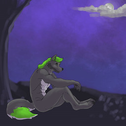 anthro big_muscles big_penis body_hair chest_hair chest_hair_growth full_moon genitals green_eyes green_hair growth hair huge_muscles huge_penis hyper hyper_genitalia hyper_muscles hyper_penis male moon muscular penis solo transformation fungimagi mythology ritzywolf canid canine canis mammal mythological_canine mythological_creature werecanid werecanine werecreature werewolf wolf 1:1 2d_animation animated