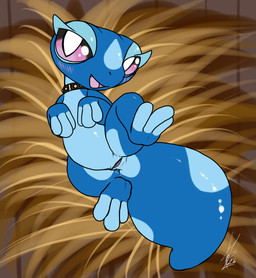 animal_genitalia bedroom_eyes blue_body blush cloaca collar female female_feral feral genitals looking_at_viewer lying narrowed_eyes on_back open_mouth pink_eyes presenting seducing_viewer seductive smile smiling_at_viewer solo spread_legs spreading tail thick_tail shikaro nintendo pokemon pokemon_winds_and_waves gecqua generation_10_pokemon pokemon_(species) reptile scalie 2026 absurd_res digital_media_(artwork) hi_res