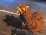 anthro brown_body brown_fur brown_hair clothing female fur hair legwear longboard shadow skateboard solo thigh_highs vehicle tinygaypirate canid canine canis domestic_dog mammal pomeranian spitz hi_res meme