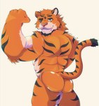 anthro balls butt fur furry_balls furry_tail genitals male muscular muscular_male solo stripes tail wolfy_eduard mr._hopp's_playhouse mr._stripes_(mr._hopp's_playhouse) felid mammal pantherine tiger absurd_res hi_res