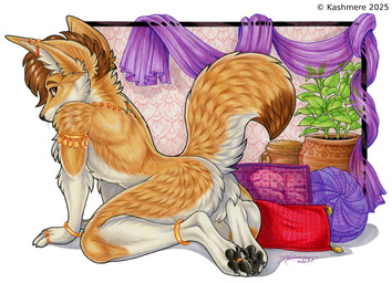 anklet anthro armlet bracelet brown_eyes brown_hair butt claws curtains digit_ring ear_piercing ear_ring feet finger_claws finger_ring fluffy fluffy_tail fur gold_(metal) gold_jewelry hair harem_jewelry inner_ear_fluff jewelry jewelry_only kneeling looking_at_viewer looking_back looking_back_at_viewer male neck_tuft necklace nude nude_anthro nude_male pawpads paws piercing pillow plant plant_pot pose raised_tail ring ring_piercing seductive side_view solo tail tan_body tan_fur text toe_claws toe_ring toes tuft whisker_spots whiskers white_body white_fur kashmere canid canine fennec_fox fox mammal true_fox 2025 artist_name signature traditional_media_(artwork)